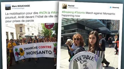 Niemcy. Koncern Bayer chce przejąć Monsanto za 62 mld dolarów