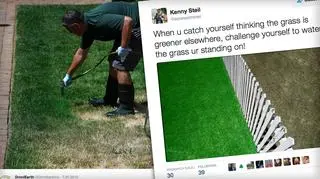 Kanada. Malowanie trawników jako skutek globalnego ocieplenia