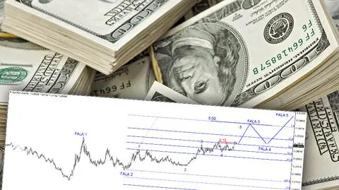 Prognoza news.globtrex.com na 2017 r.: dolar i euro po 5 zł