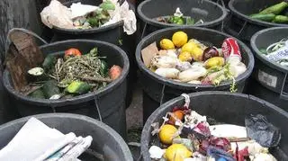 Blisko 2 mln ton jedzenia marnuje się w polskich domach 