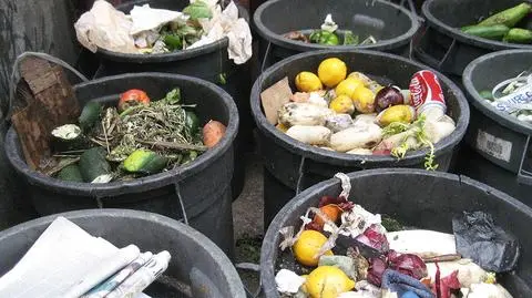 Blisko 2 mln ton jedzenia marnuje się w polskich domach