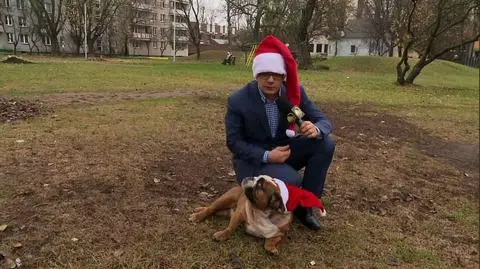 "Biznes dla ludzi" od poniedziałku do piątku o 18:00, tylko w TVN24 Biznes i Świat