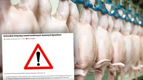 GIS: ilości fipronilu w skażonych kurczakach nie zagrażają zdrowiu