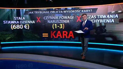Łukasz Kijek opisuje "sposób" Trybunału na obliczanie kar