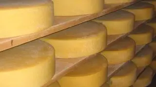 Włoska mafia produkuje żywność także za unijne fundusze