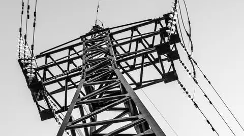 Polak i Litwin dwa bratanki? "Relacje obiecujące, także w energetyce"