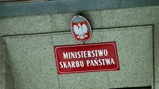 Nowy minister skarbu zdecyduje o kadrach w państwowych spółkach