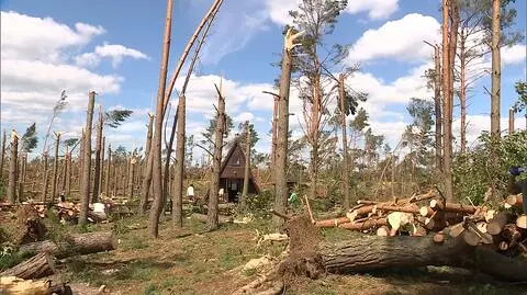 Sprzątanie po nawałnicach zwolnione z podatku - pomysł wicepremiera