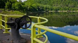 Tama w Pilichowicach