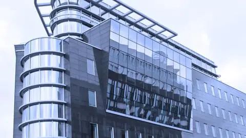 Jesteśmy biurowym tygrysem