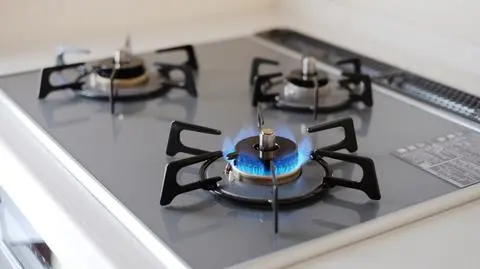 PGNiG: w 2016 r. będzie tańszy gaz