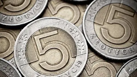 Dziennik Gazeta Prawna: Polacy za podatkiem bankowym