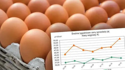 Rosną ceny jaj spożywczych