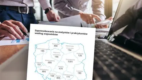 Staże i praktyki, kto poszukuje studentów - raport Pracuj.pl