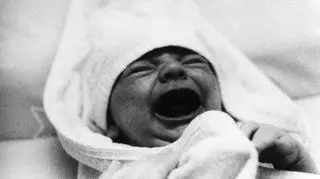 Czemu ono płacze? Tłumacz prawdę ci powie