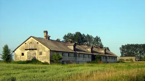 SLD odszkodowania dla ofiar Balcerowicza