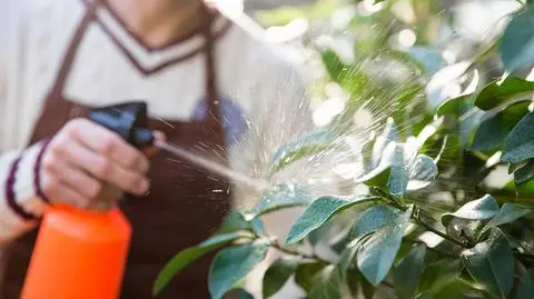 Komisja Europejska chce przedłużenia licencji na glifosat