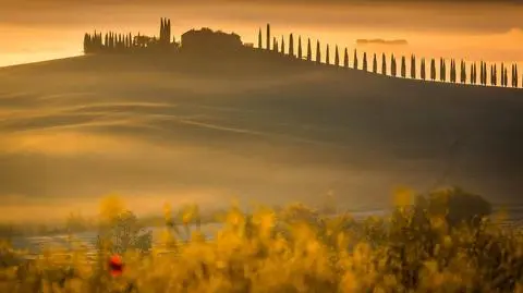 Toskania. Fotograf Paweł Uchorczak o podróży do Toskanii - Pokaż nam świat w TVN24 BiS