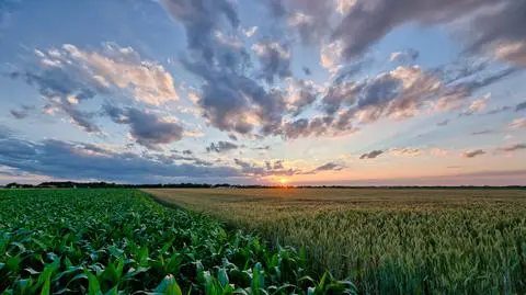 Komisja Europejska przedłuża pomoc dla rolników w związku z embargiem