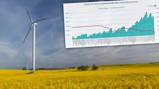 Rząd obcina wsparcie dla wiatraków, firmy zwalniają pracowników