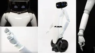 Pierwszy włoski robot przeznaczony do masowej produkcji