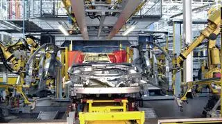 Z powodu dekoniunktury na rynku samochodowym w Rosji Opel postanowił całkowicie wycofać się z tego kraju do końca roku