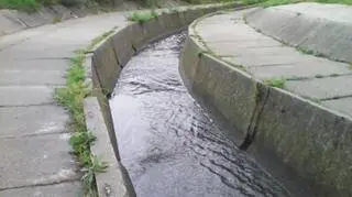 Rynek opłat za wodę wart jest w Polsce 4-5 mld zł. 