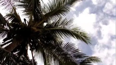 Zapłacimy za wakacje