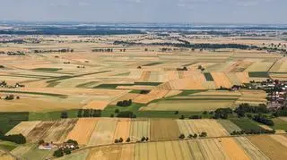 W latach 1990-2015 cudzoziemcy uzyskali ponad 25 tys. zezwoleń na nabycie nieruchomości gruntowych o łącznej powierzchni ponad 52 tys. ha