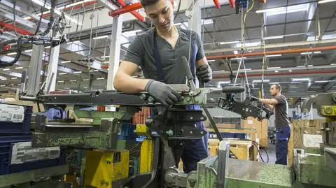 Polski udział w inwestycji Mercedesa jest jeszcze "kwestią ostatecznych uzgodnień"