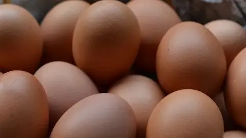 Salmonella na skorupkach jajek. "Potencjalne zagrożenie dla zdrowia"