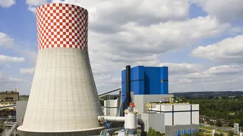 Piechociński chce utworzenia Ministerstwa Energetyki