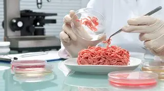 Projekt ws. Państwowej Inspekcji Bezpieczeństwa Żywności