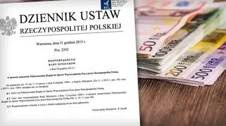 Rząd zlikwidował urząd pełnomocnika ds. wprowadzenia euro