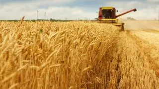 UE przedłuża wypłaty dla rolników