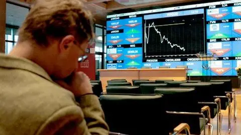 Wszystkie duże spółki tonęły