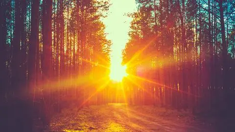 Porozumienie klimatyczne w Paryżu