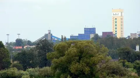 Tauron zainwestuje w Brzeszcze nawet bez emisji akcji