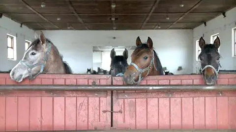 "Pride of Poland". Jest nowy organizator