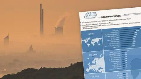 NIK: Jeżeli chodzi o smog, Polska jest czarnym punktem na mapie Europy