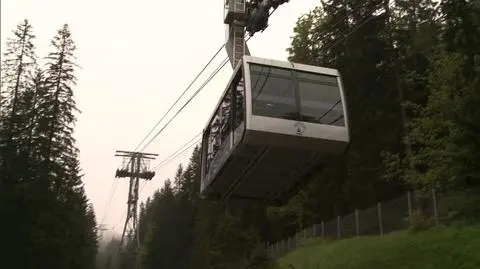 Lasy Państwowe próbowały kupić Polskie Koleje Liniowe