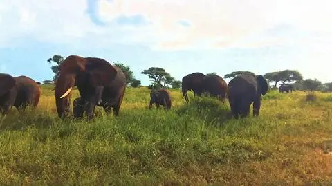 Podróż do Zimbabwe, wizyta w parkach krajobrazowych