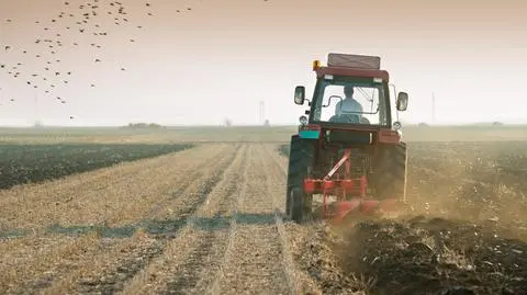 Rolnicy dostali już pierwsze wypłaty rekompensat z powodu suszy