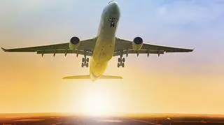 LOT w tegorocznym budżecie zapisał 175 mln zł zysku