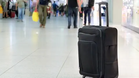 Work Service: 11,8 proc. badanych Polaków rozważa emigrację zarobkową