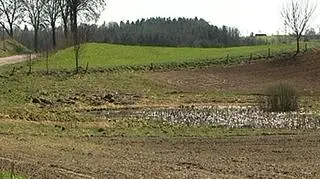 Gminy oddadzą właścicielom za zajmowaną, ale nieużywaną ziemię
