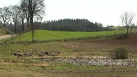 Gminy zapłacą wielkie odszkodowania?