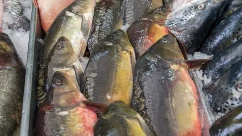 Posłowie chcą planowych kontroli miejsc sprzedaży żywych karpi