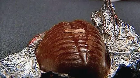 Uwaga na robaki w cukierkach