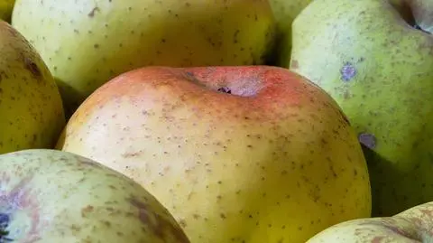 Białoruś luzuje embargo na polskie produkty. "By zapobiec problemom z dostępnością i wzrostem cen"